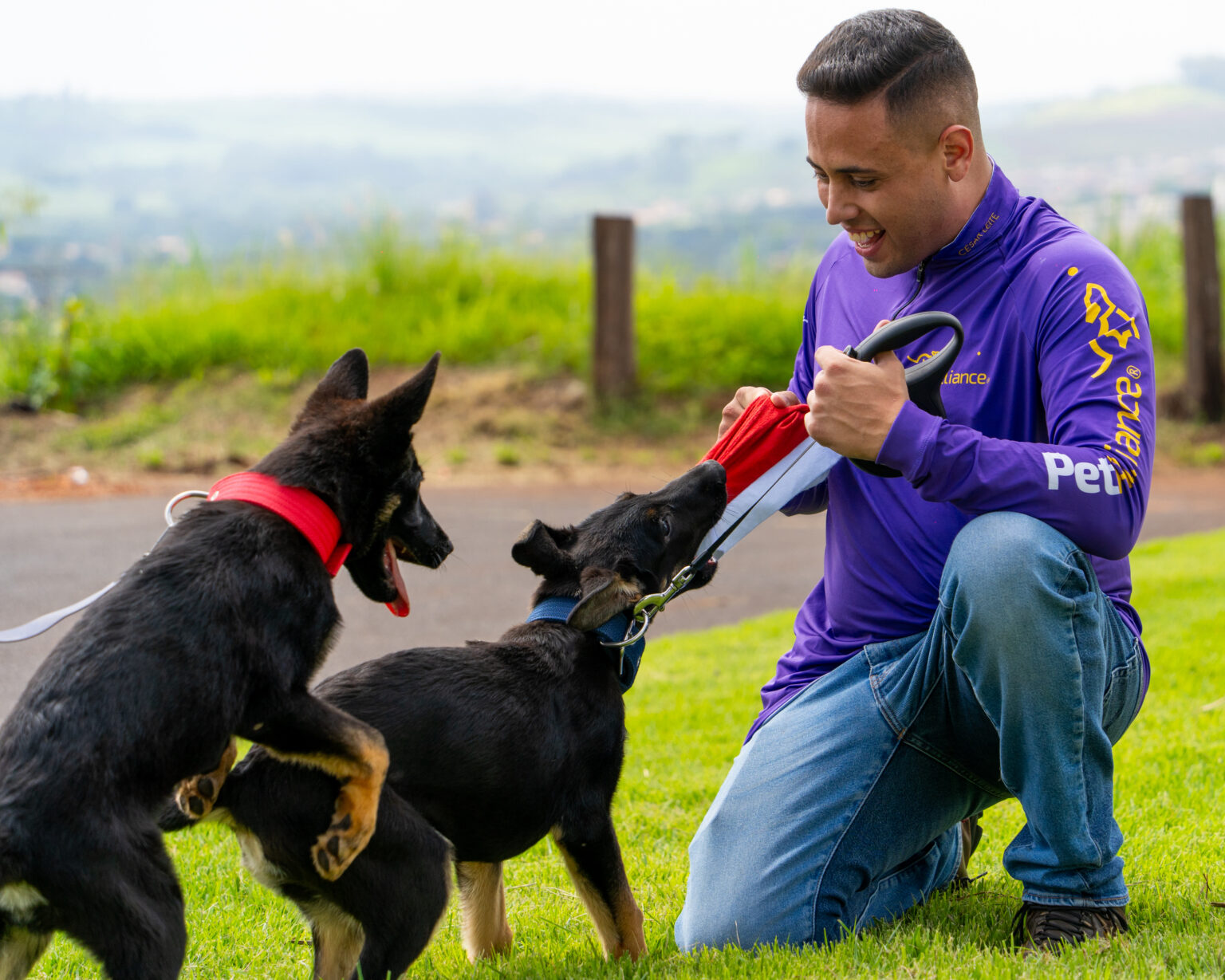 César Leite com cães treinados pelo método